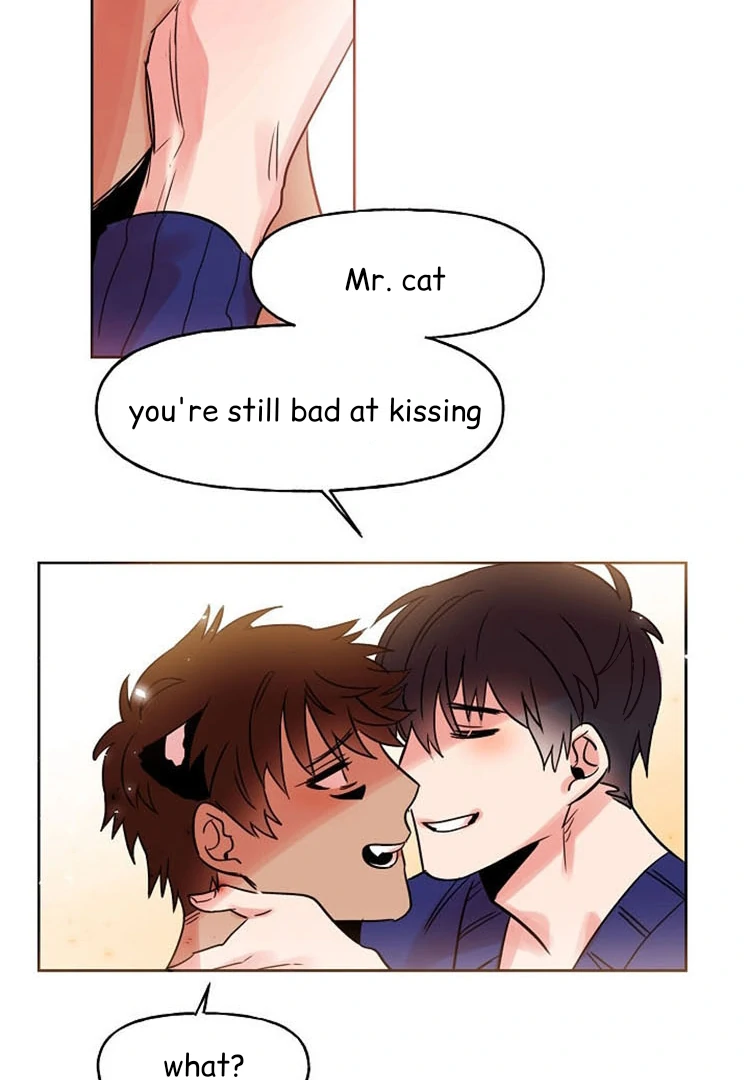 Cat In A Cardboard Box - Chapter 31