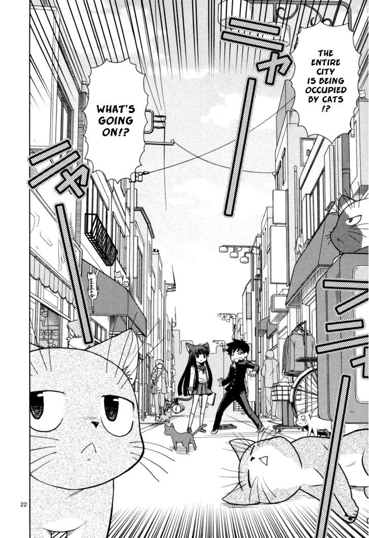 Koi Neko - Vol.8 Chapter 65 : Let's Wish