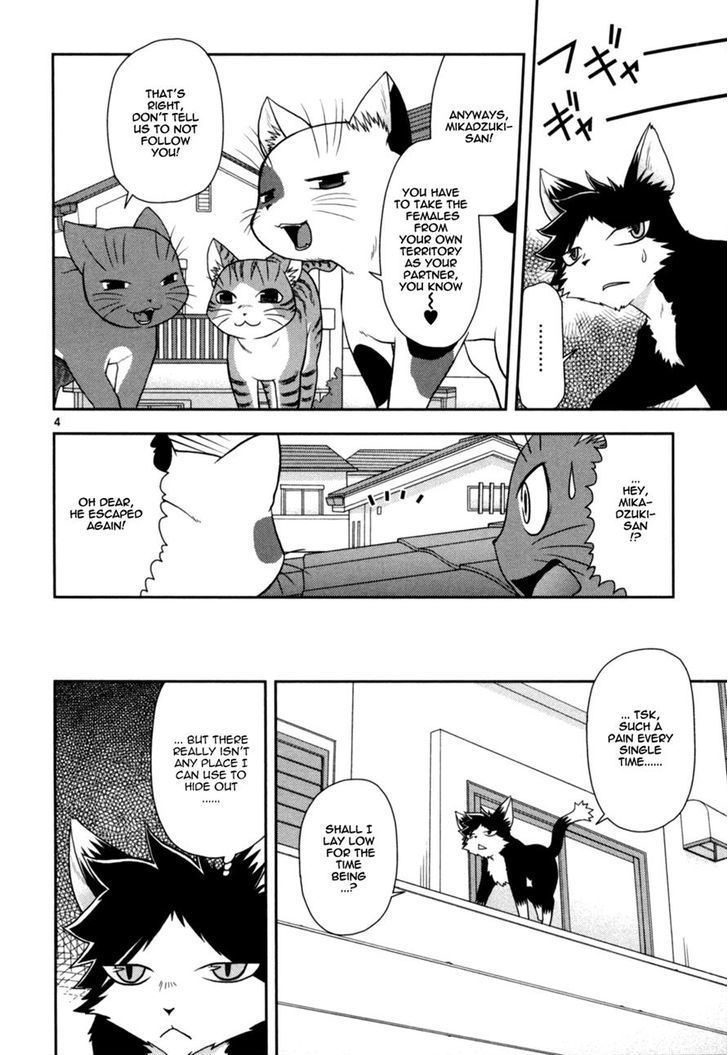 Koi Neko - Vol.9 Chapter 75 : Let's Strain Relations