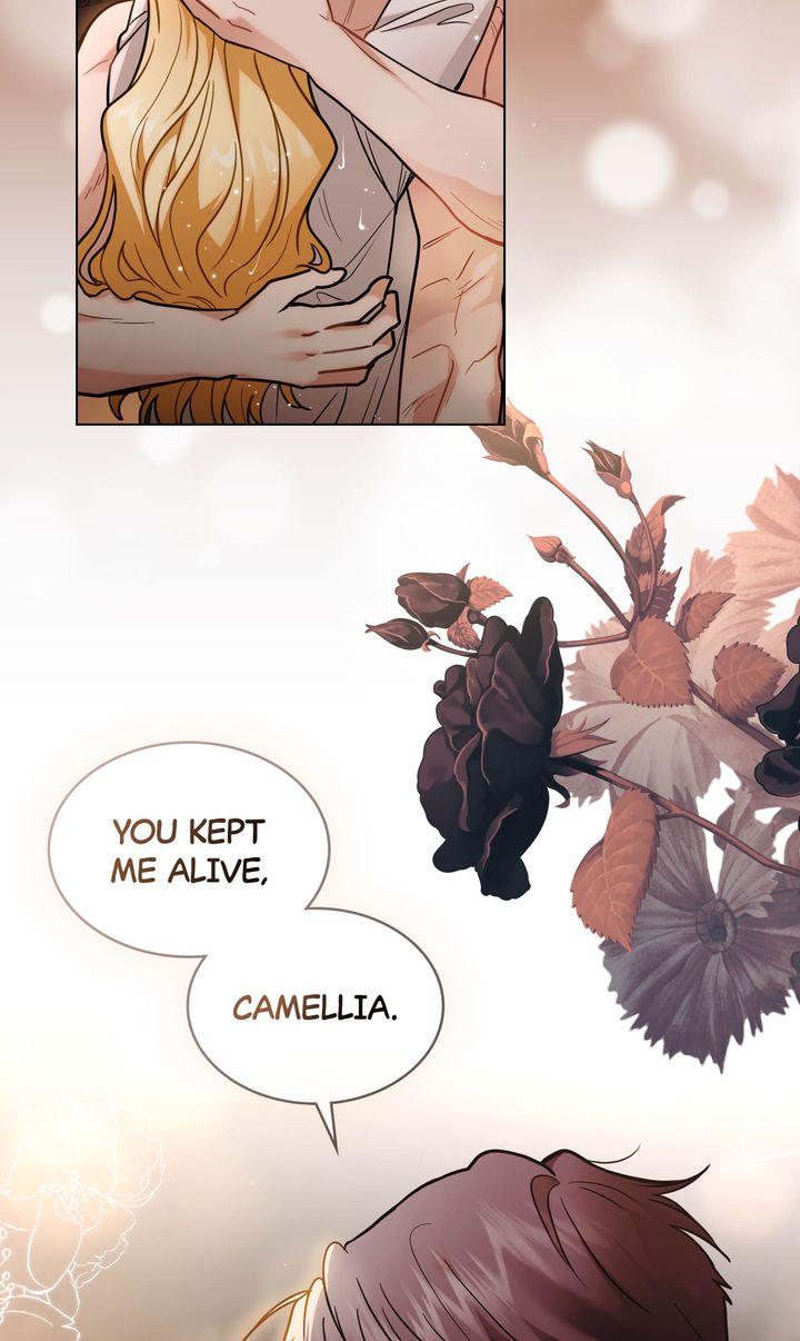 Finding Camellia - Chapter 84