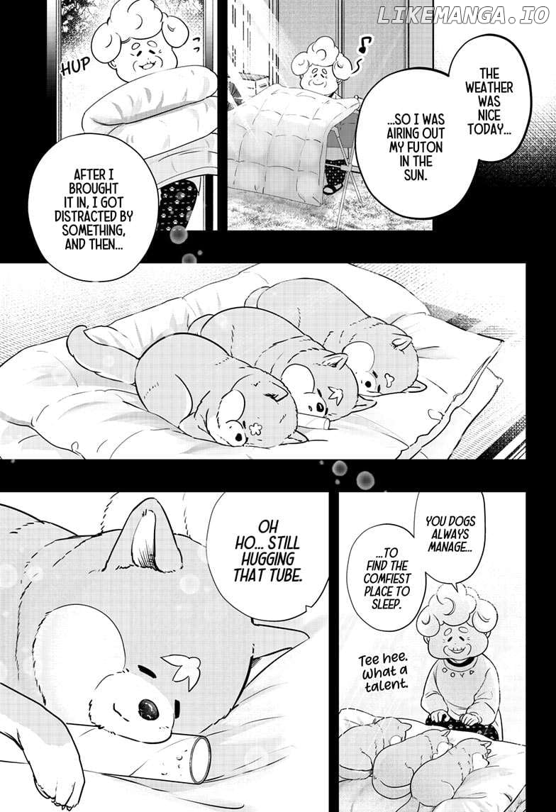 Shiba Inu Rooms - Chapter 15