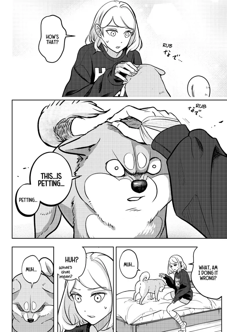 Shiba Inu Rooms - Chapter 2