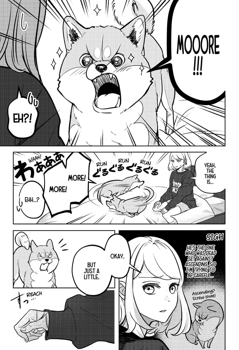 Shiba Inu Rooms - Chapter 2