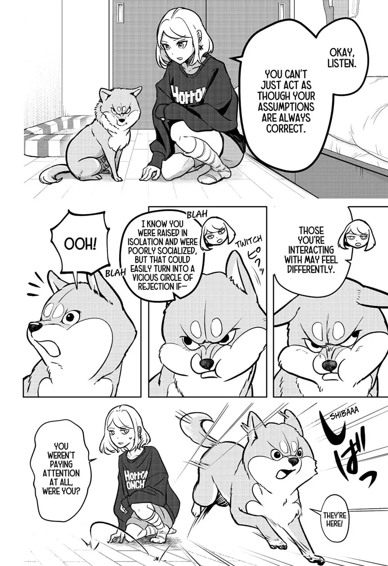 Shiba Inu Rooms - Chapter 2