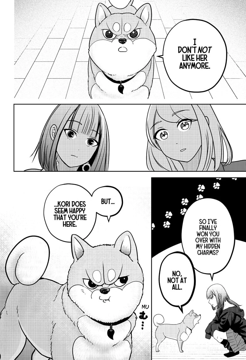 Shiba Inu Rooms - Chapter 14