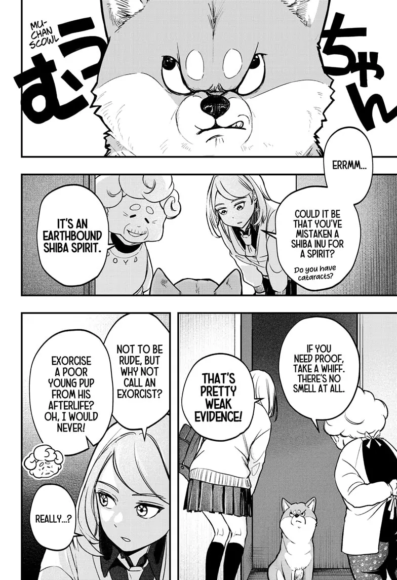 Shiba Inu Rooms - Chapter 1