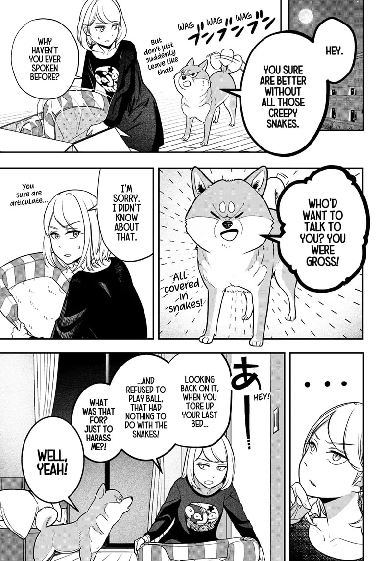 Shiba Inu Rooms - Chapter 1