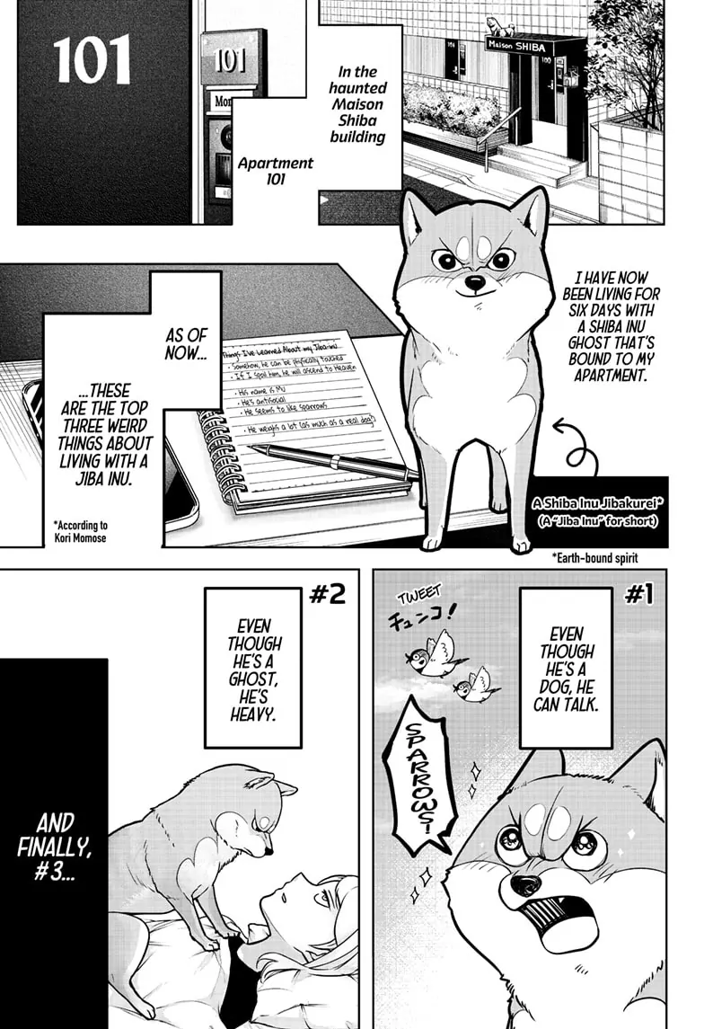 Shiba Inu Rooms - Chapter 3