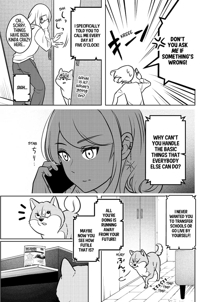 Shiba Inu Rooms - Chapter 3