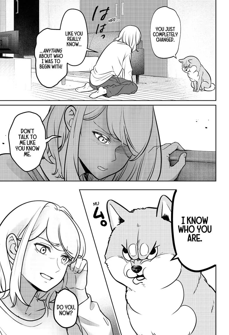 Shiba Inu Rooms - Chapter 3