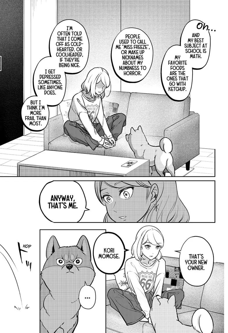 Shiba Inu Rooms - Chapter 3