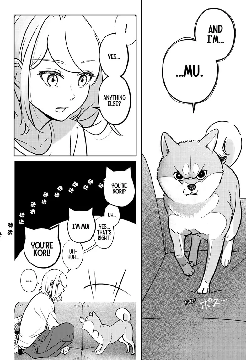 Shiba Inu Rooms - Chapter 3