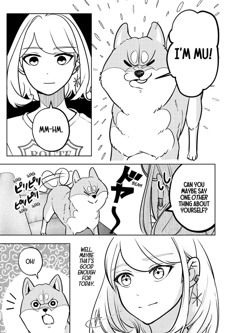 Shiba Inu Rooms - Chapter 3