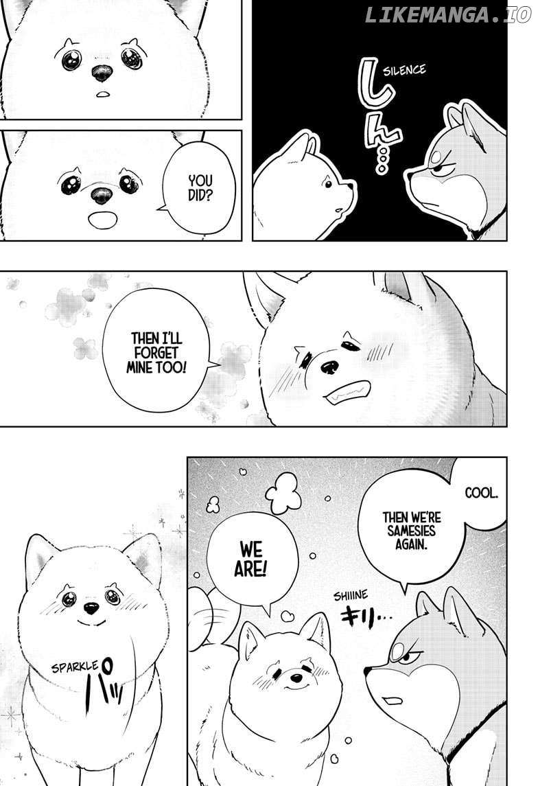 Shiba Inu Rooms - Chapter 17