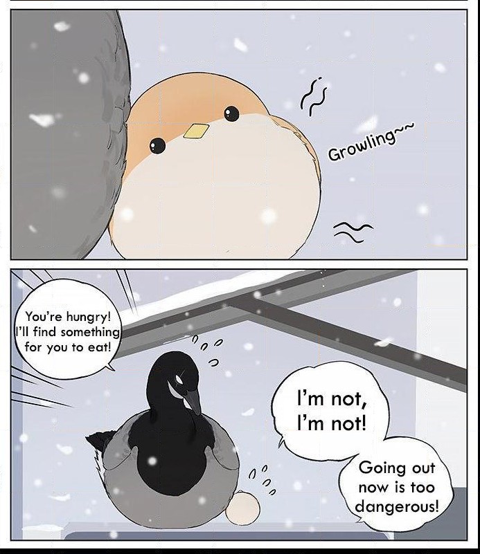 Southern Bird And Northern Bird - Chapter 30