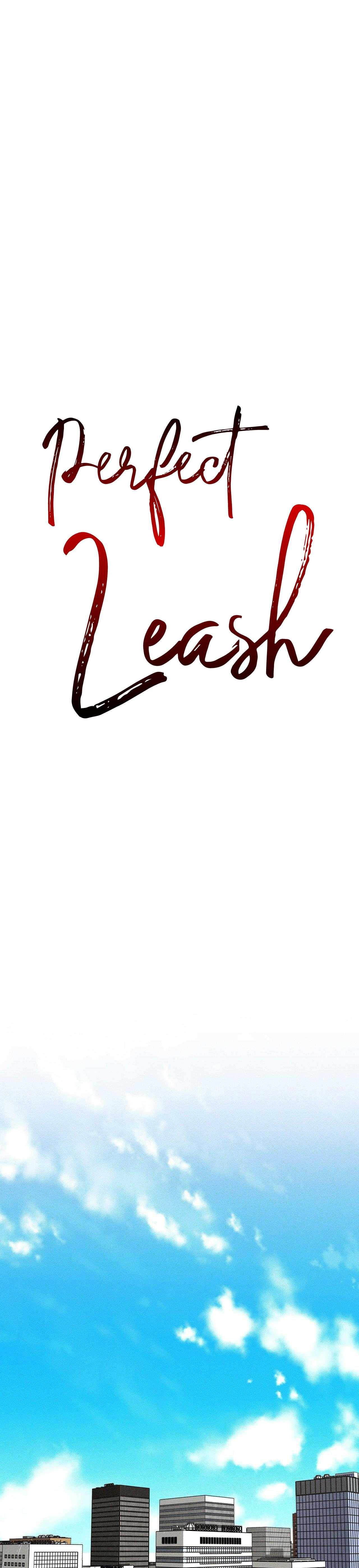 Perfect Leash - Chapter 16