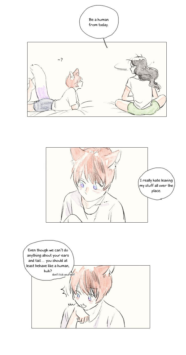 Catboy Catday - Chapter 16