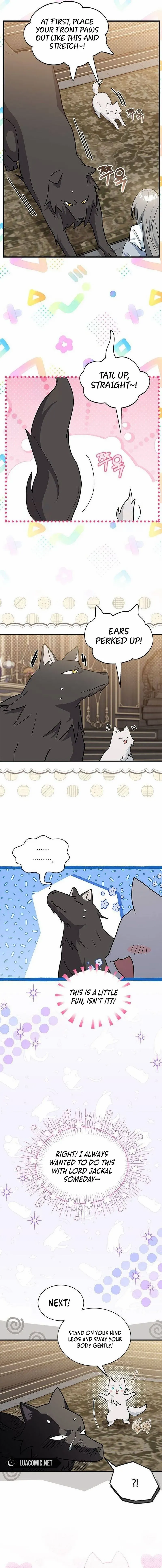 You’Re A Cat, But You’Ve Been Adopted By A Wolf Family? - Chapter 42