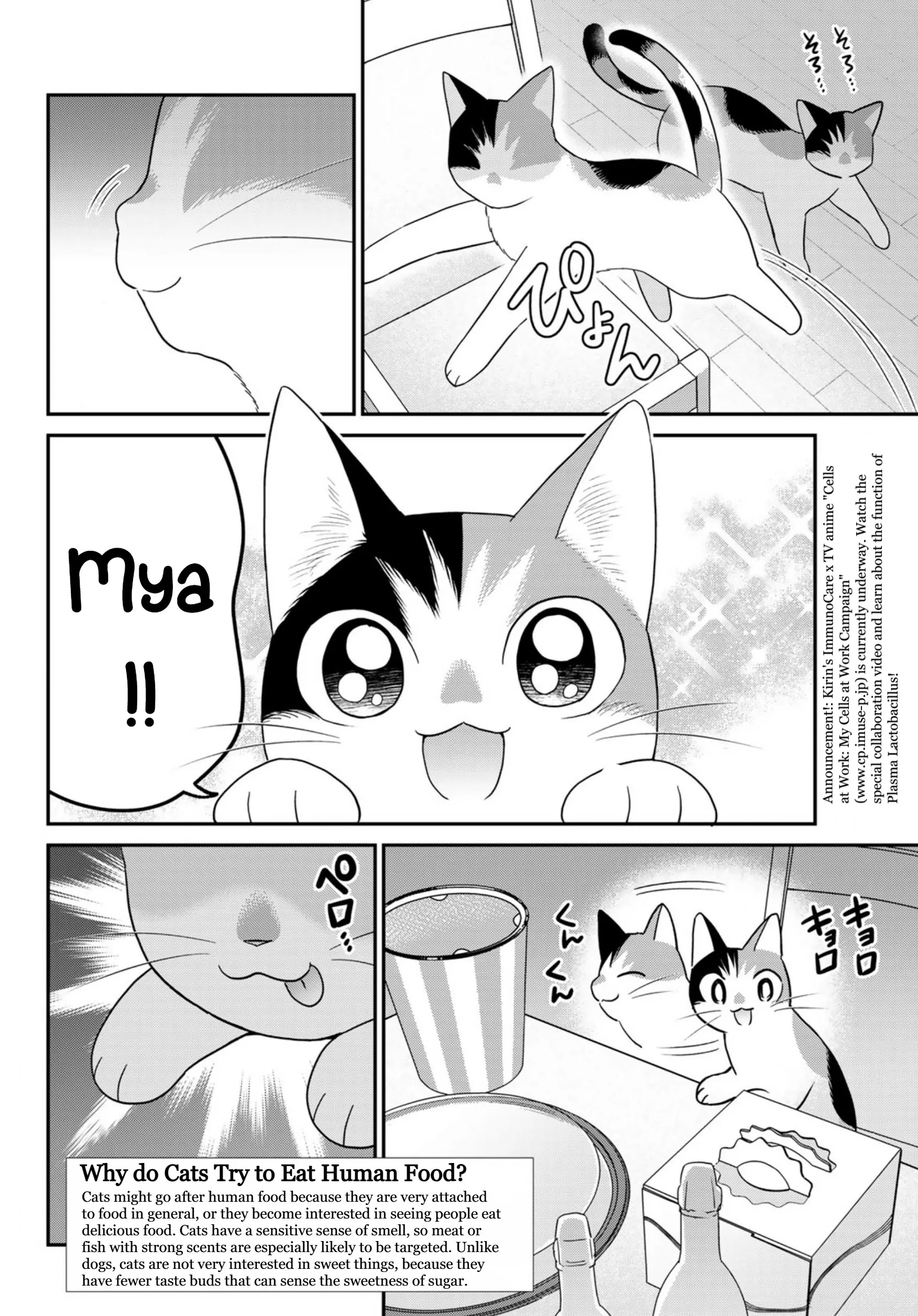 Cells At Work! Cat - Chapter 16