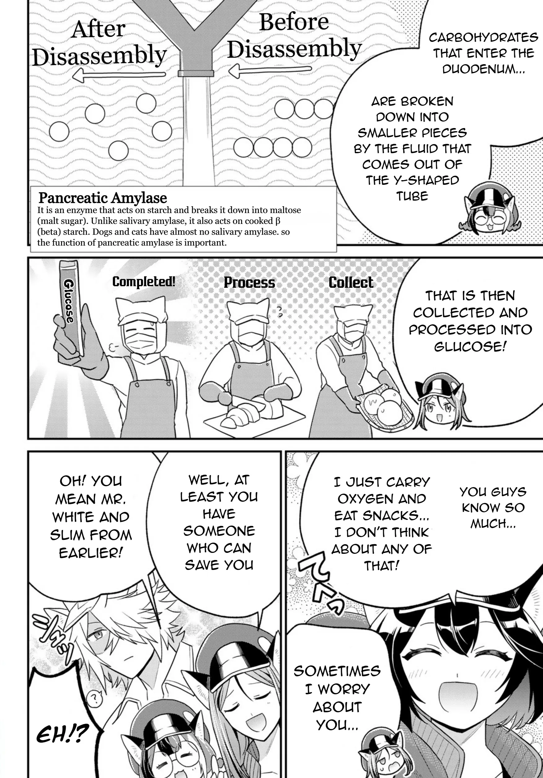 Cells At Work! Cat - Chapter 16