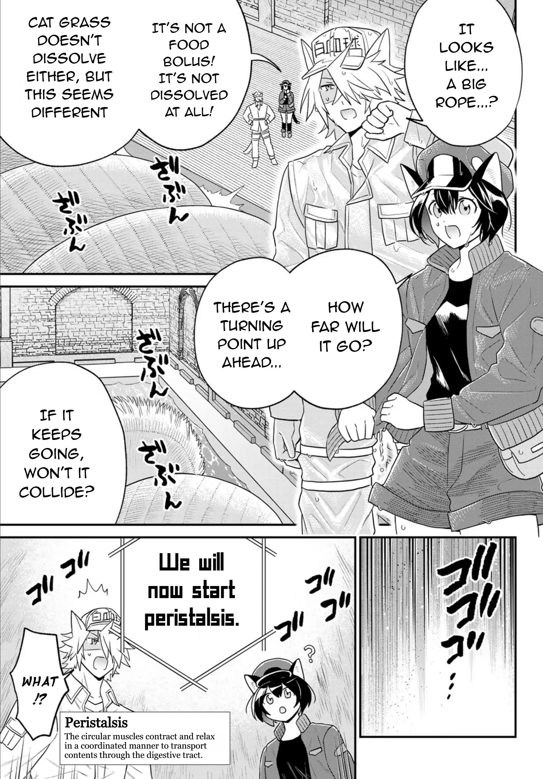 Cells At Work! Cat - Chapter 16