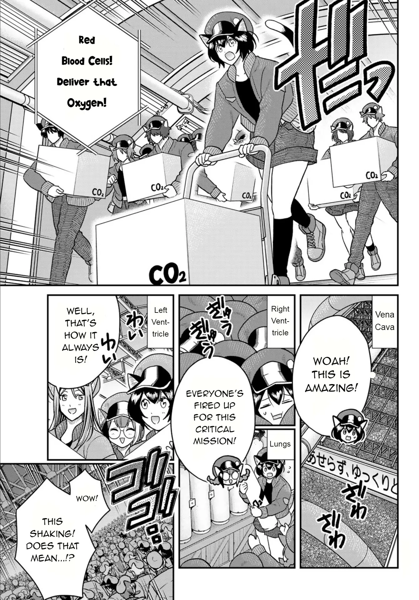 Cells At Work! Cat - Vol.1 Chapter 3: Chapter 3: Hairball