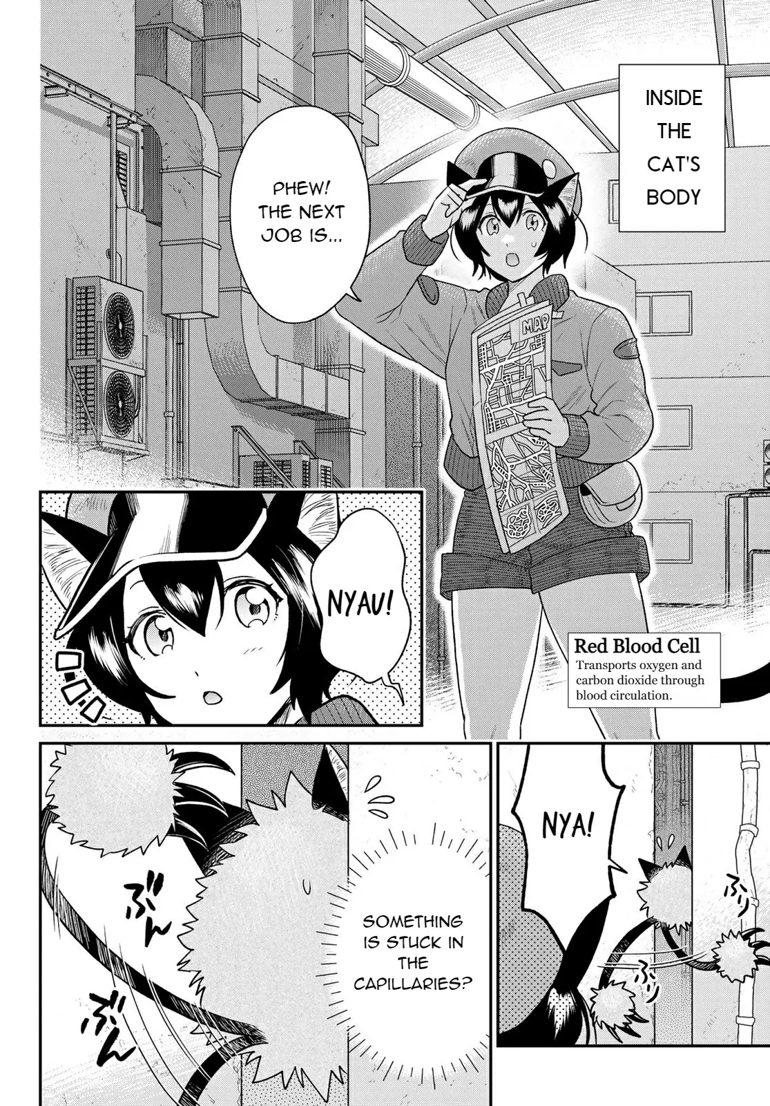 Cells At Work! Cat - Vol.1 Chapter 4: Chapter 4: Cat Scratch Fever