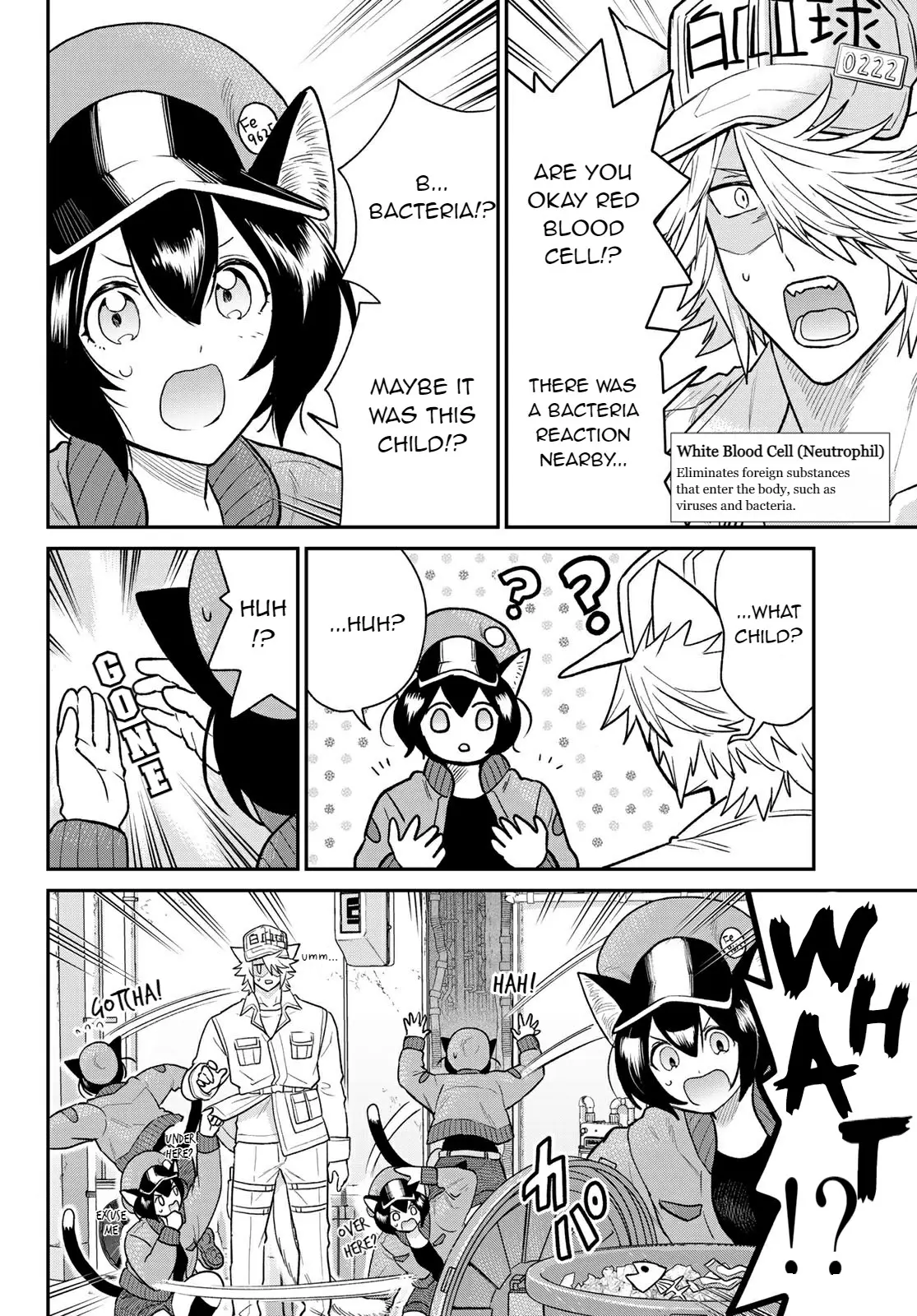 Cells At Work! Cat - Vol.1 Chapter 4: Chapter 4: Cat Scratch Fever