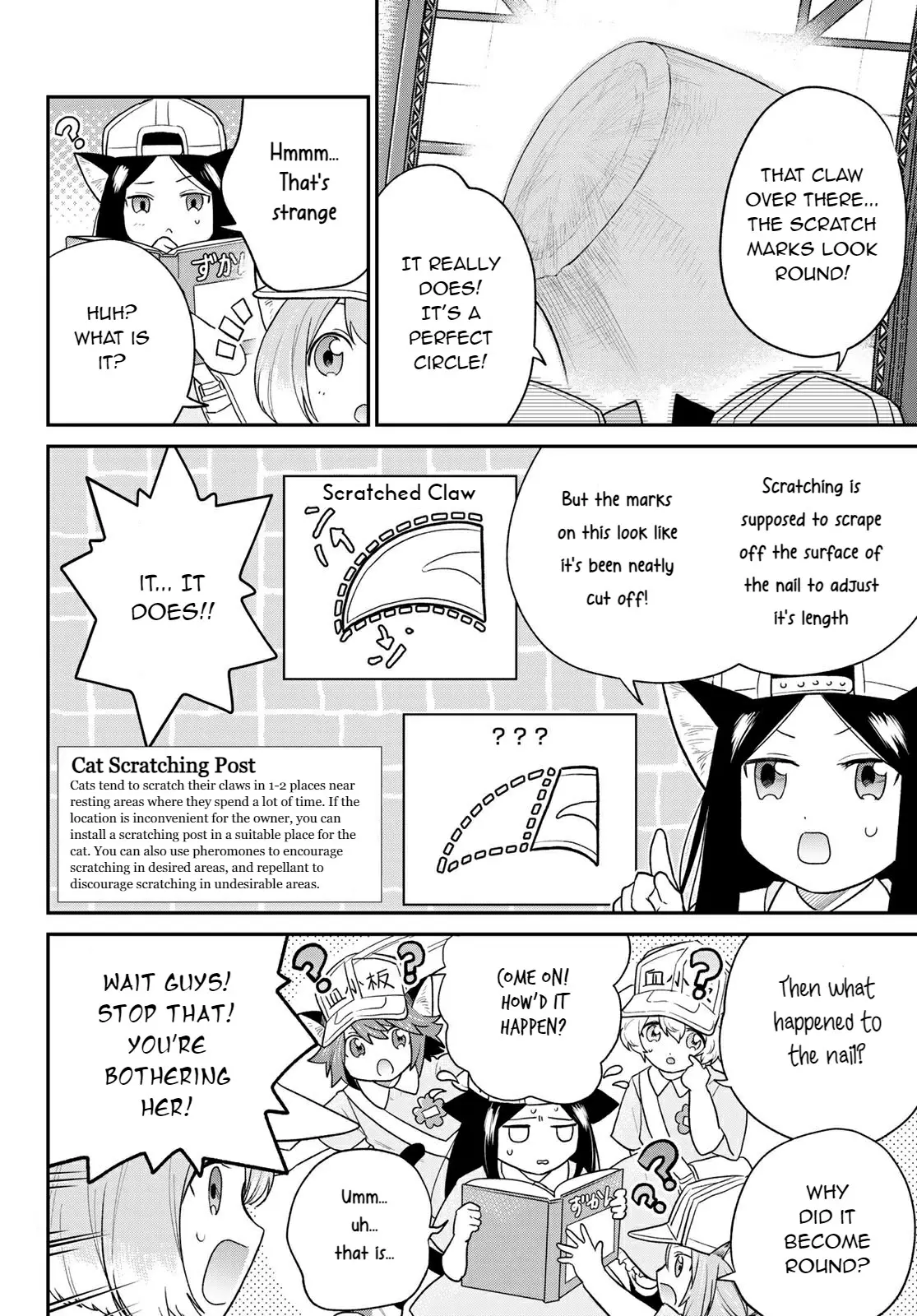 Cells At Work! Cat - Vol.1 Chapter 5: Chapter 5: Nail Clippers