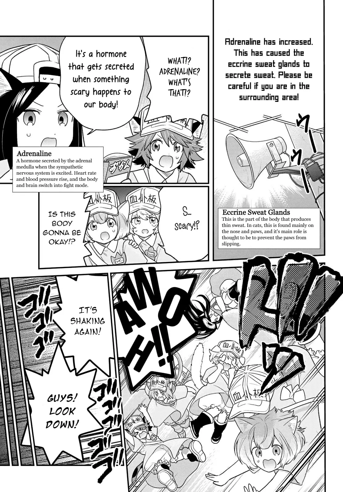 Cells At Work! Cat - Vol.1 Chapter 5: Chapter 5: Nail Clippers