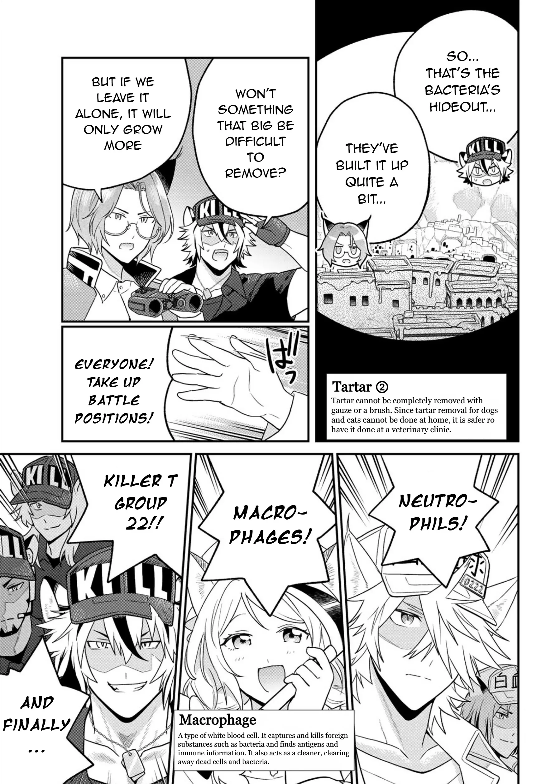 Cells At Work! Cat - Chapter 13