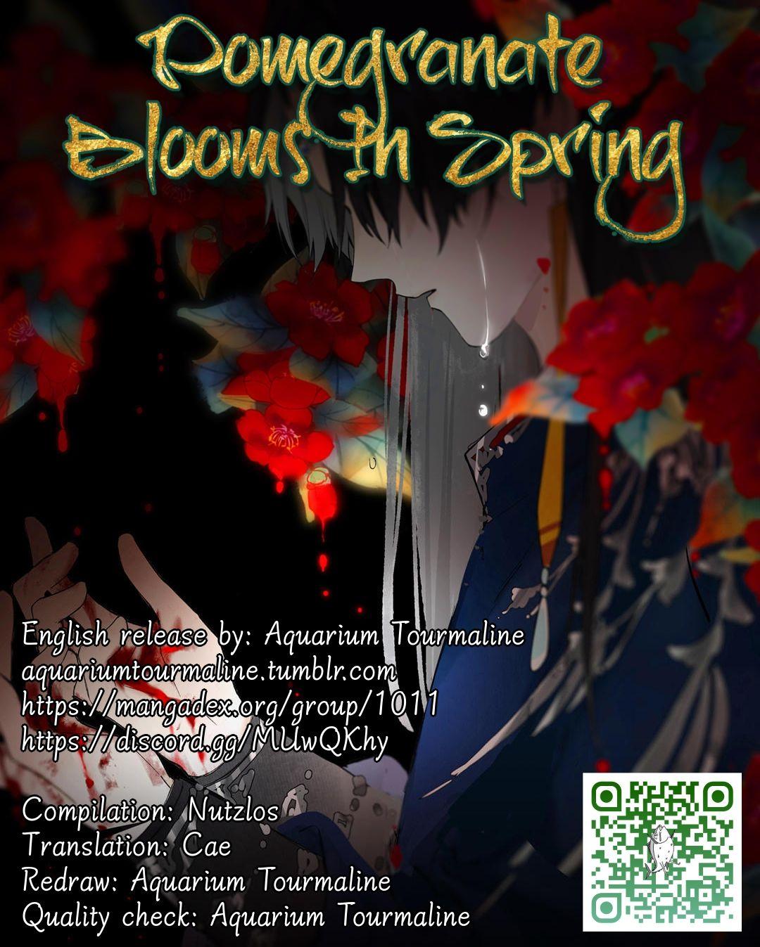 Pomegranate Blooms In Spring - Chapter 22.5