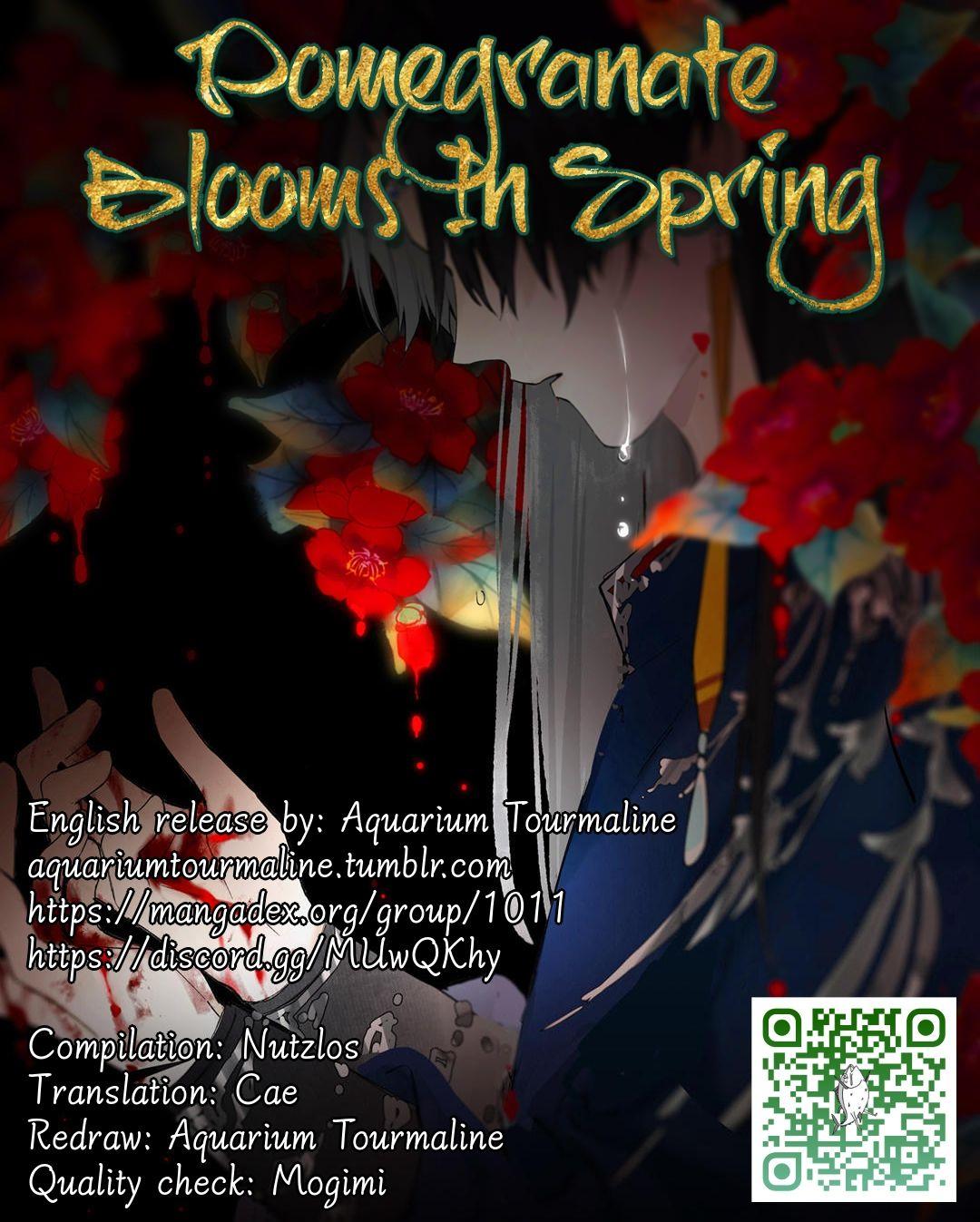 Pomegranate Blooms In Spring - Chapter 26.5