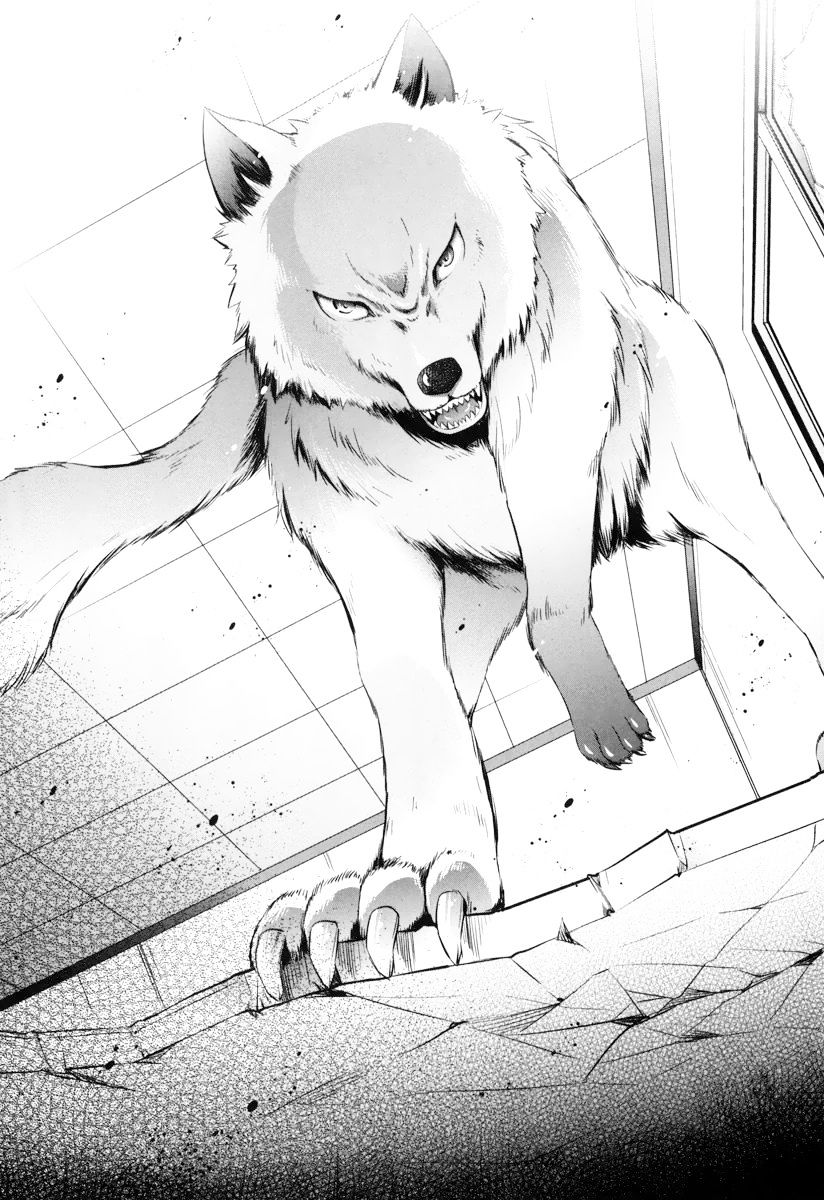 Hidan No Aria - Vol.4 Chapter 35 : Reki And The Wolf