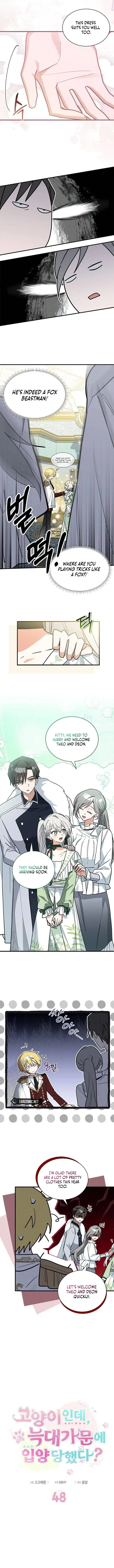 You’re A Cat, But You’ve Been Adopted By A Wolf Family? - Chapter 48