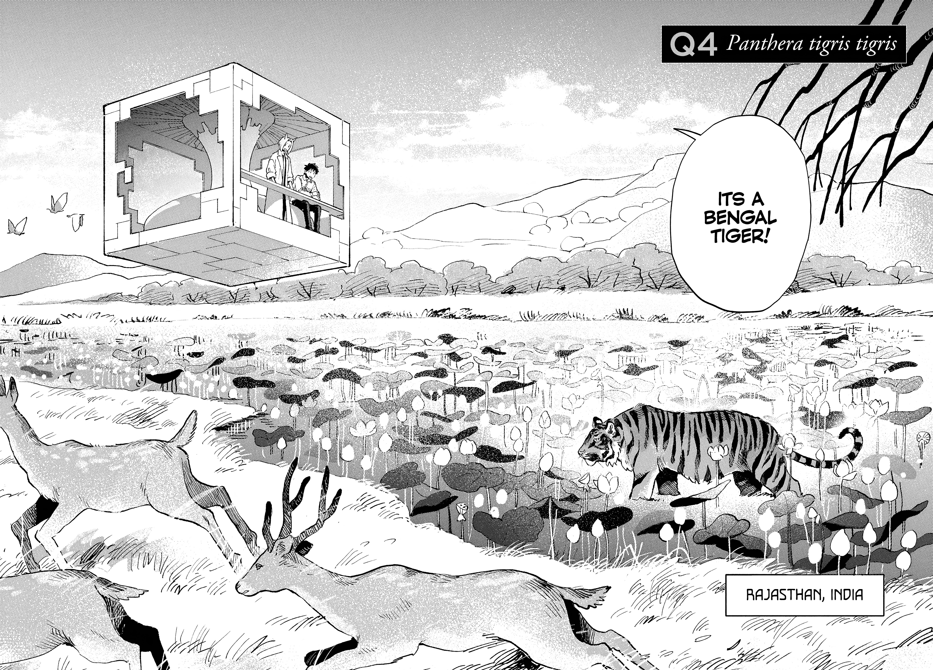 Q, What Is Love? - Vol.1 Chapter 4: Panthera Tigris Tigris