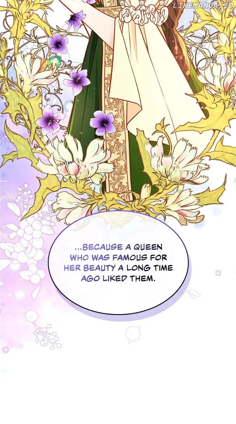 The Duchess’s Secret Dressing Room - Chapter 88