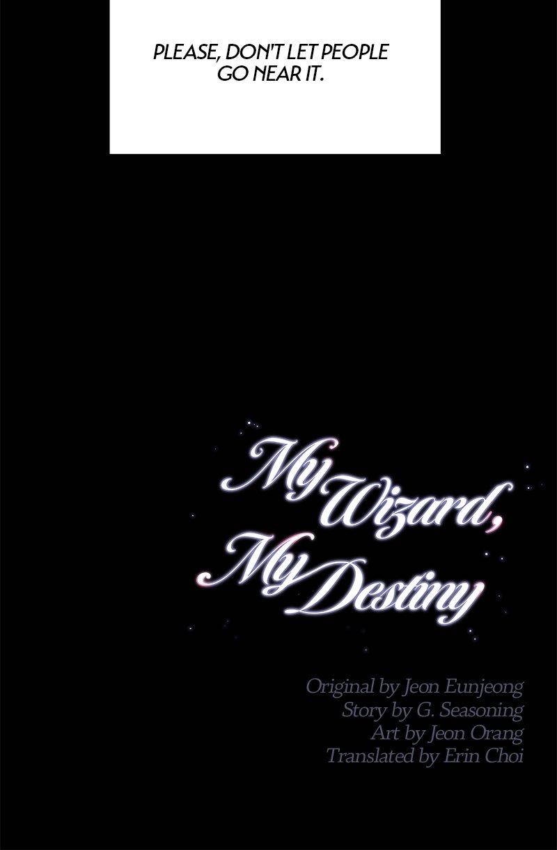 My Wizard, My Destiny - Chapter 14