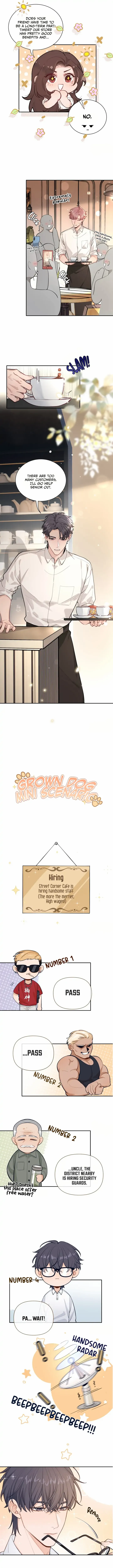 The Grown Dog Bullies Its Owner - Chapter 6