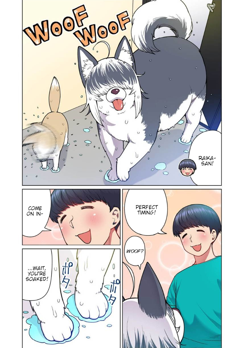 Shin Elf-San Wa Yaserarenai. - Chapter 4: The Dog At The Door