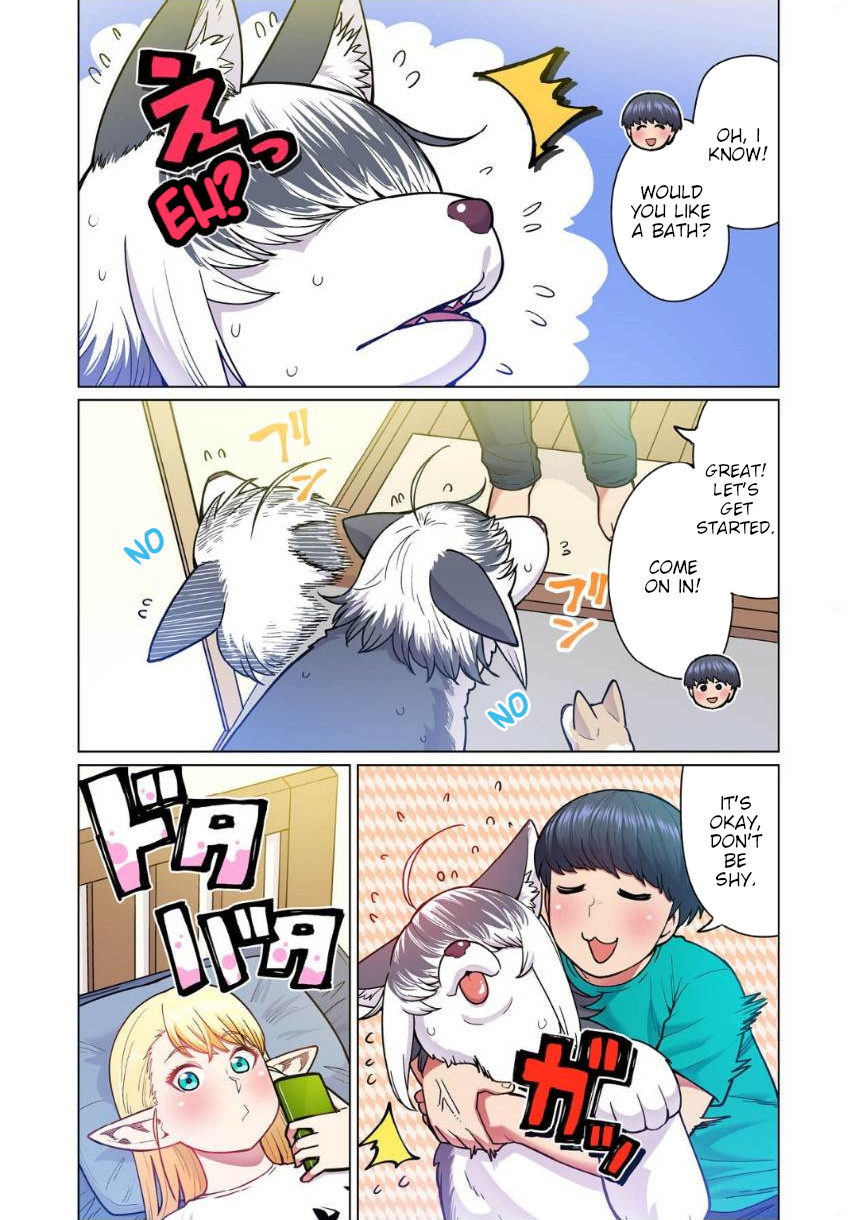 Shin Elf-San Wa Yaserarenai. - Chapter 4: The Dog At The Door