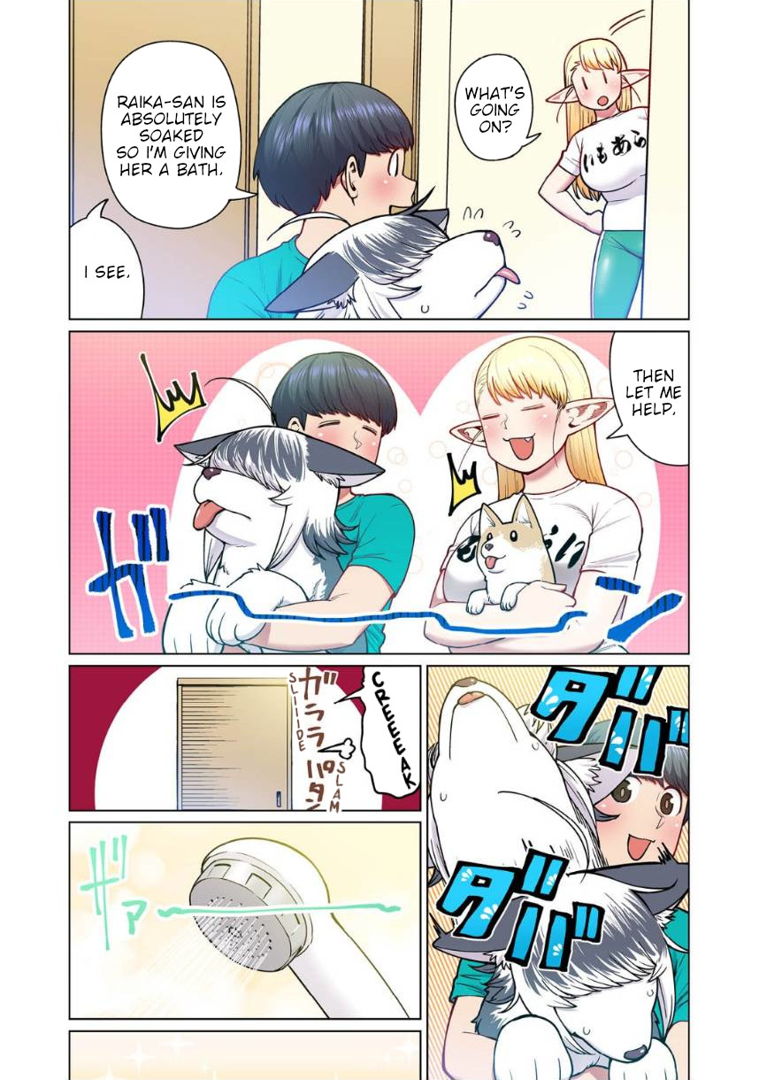 Shin Elf-San Wa Yaserarenai. - Chapter 4: The Dog At The Door