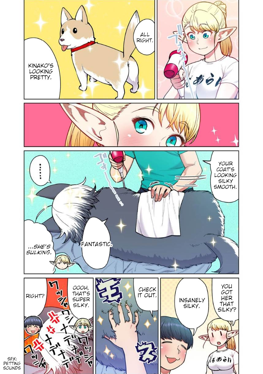 Shin Elf-San Wa Yaserarenai. - Chapter 4: The Dog At The Door