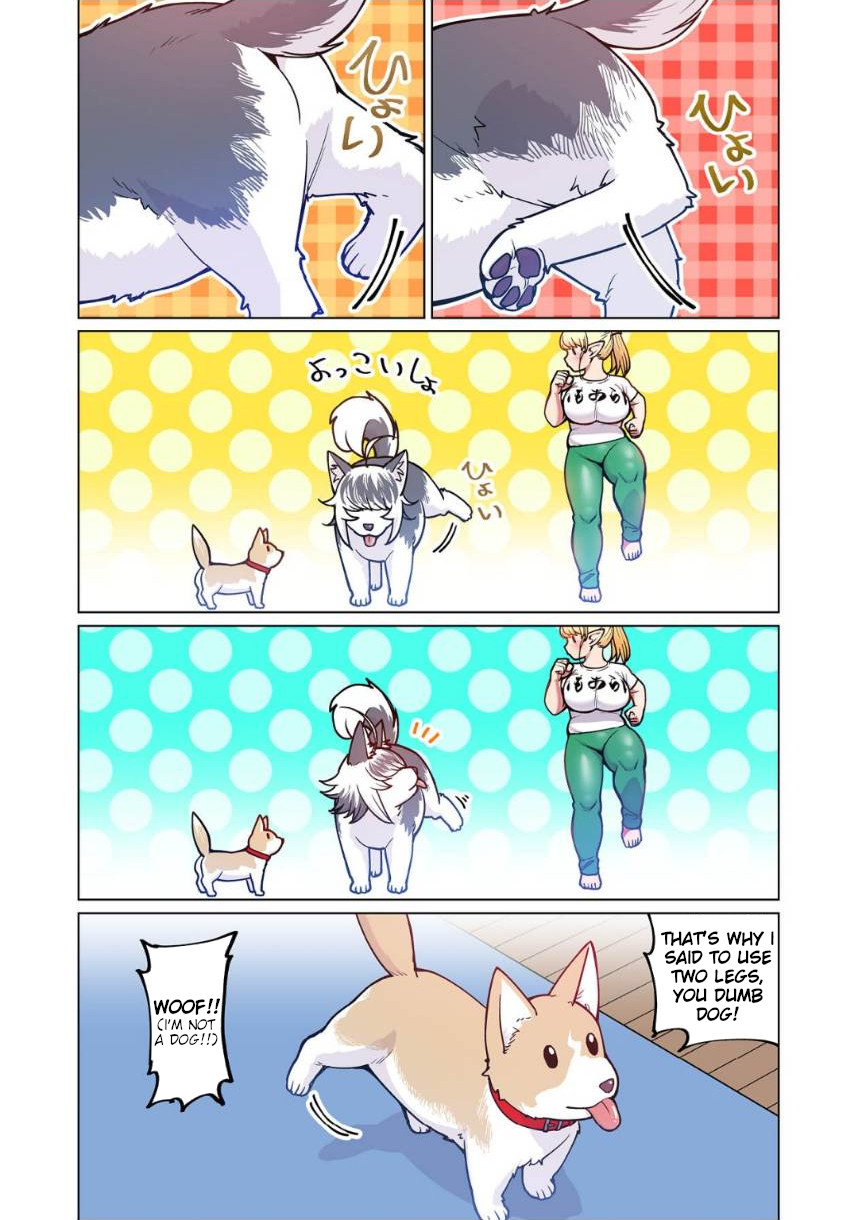 Shin Elf-San Wa Yaserarenai. - Chapter 4: The Dog At The Door