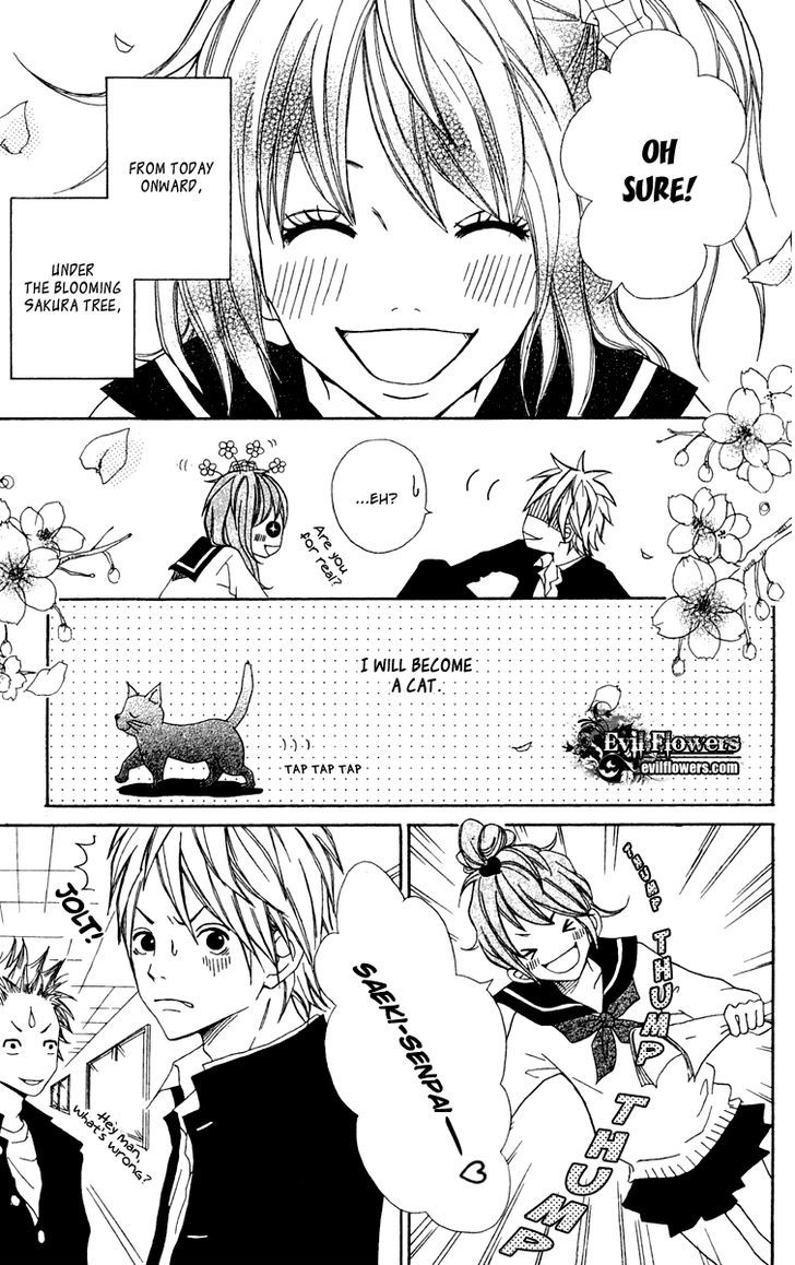 Kono Sora Ni Hibike - Vol.1 Chapter 4 : Cat Lover