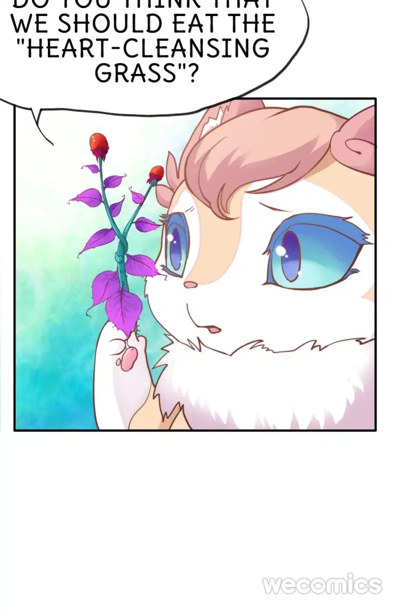 Oh My Little White Dragon - Chapter 25