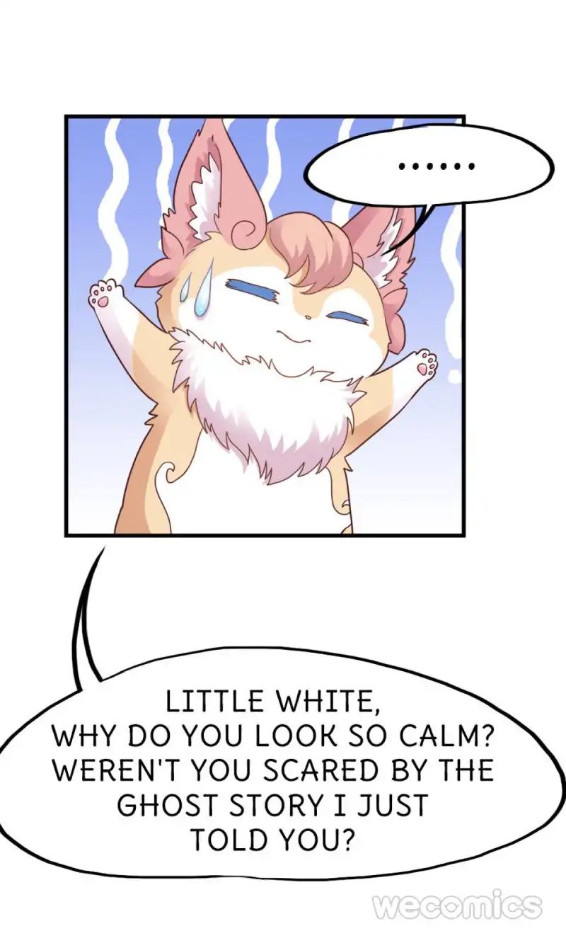 Oh My Little White Dragon - Chapter 19