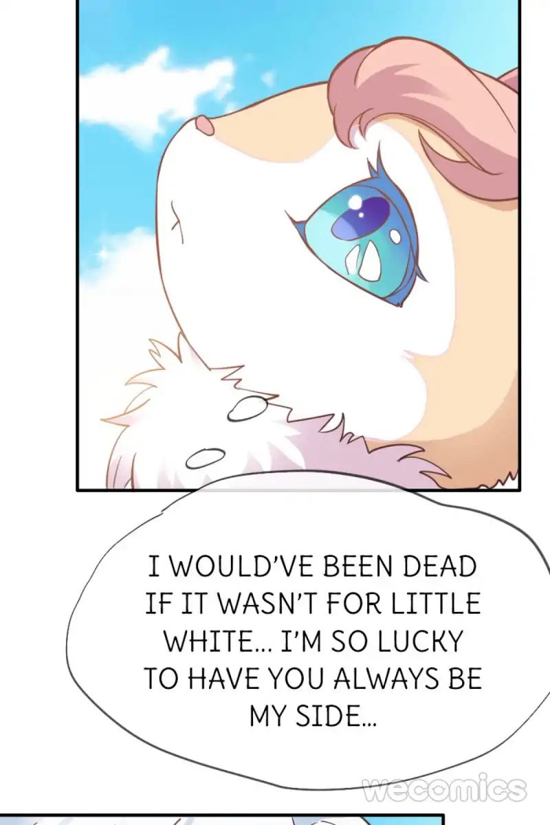 Oh My Little White Dragon - Chapter 28