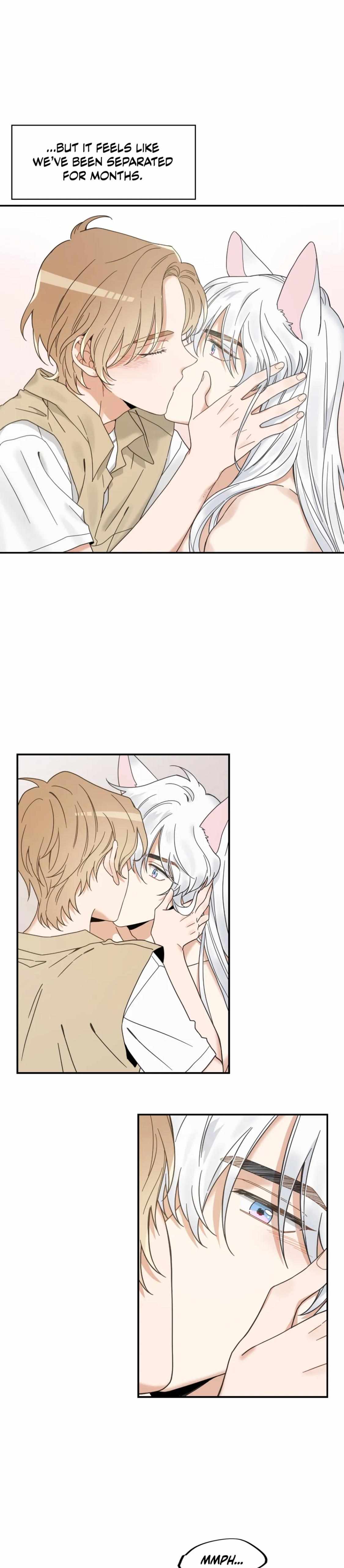 My One And Only Cat - Chapter 63