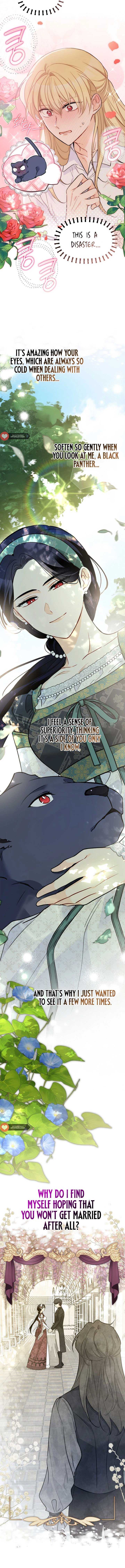 A Symbiotic Relationship Between A Rabbit And A Black Panther - Chapter 153